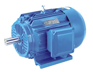 YE2系列高效節(jié)能三相異步電動機.jpg