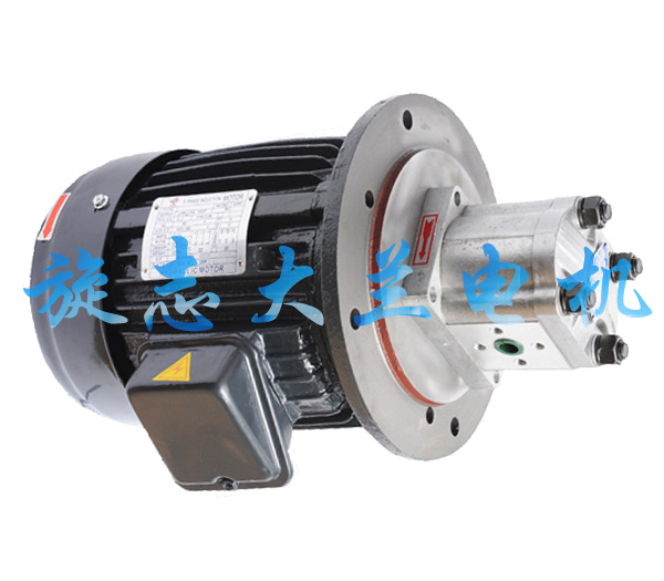 網(wǎng)購(gòu)【廣東】液壓油泵電機(jī)有技巧，大蘭電機(jī)告訴您！