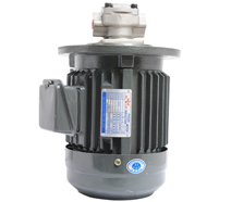 HGP-1A立式液壓電機(jī)