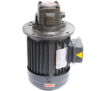 VP20立式油泵電機(jī)